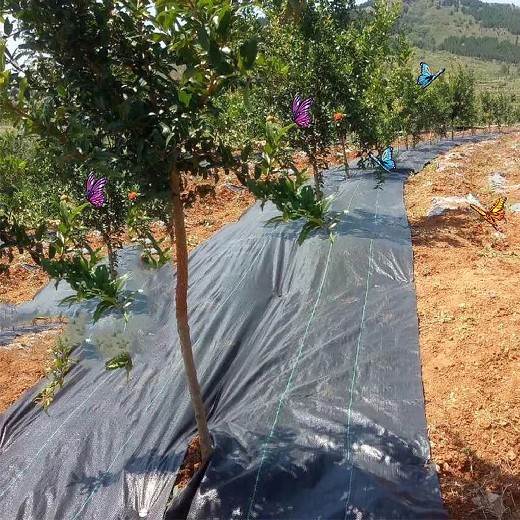 Breathable Weed Barrier Superior For Gardening Needs Durable Garden Buildings Strong Durability And Easy Construction 1m*3mblack