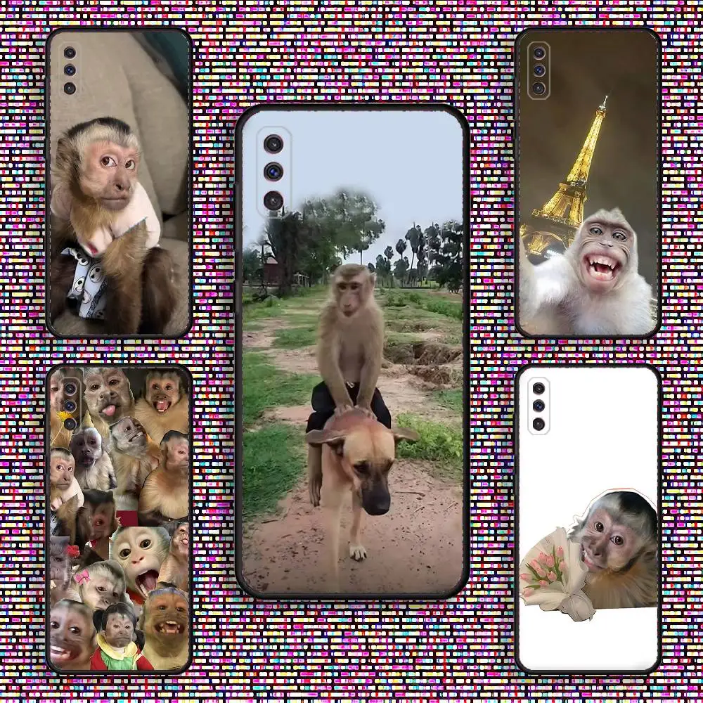 

Funny Monkey Meme Phone Case For Samsung S 25,24,23,22,30,21,10,9,Ultra,Plus,Lite,FE,4,5 G Black Soft Case