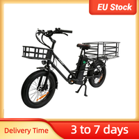 EU Stock Long Range Electric Cargo Bike 2 Wheel 100km For Elderly Woman Man Aduts With Basket 750W Fat Electric Booster Bicycle