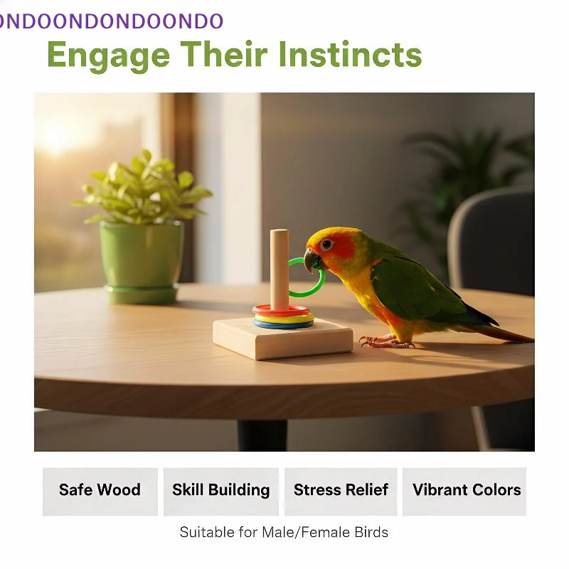 

Bird Training Ring Toy Parrot Educational Toys Colorful Interactive Rings For Bird Exercise And Intelligence Training