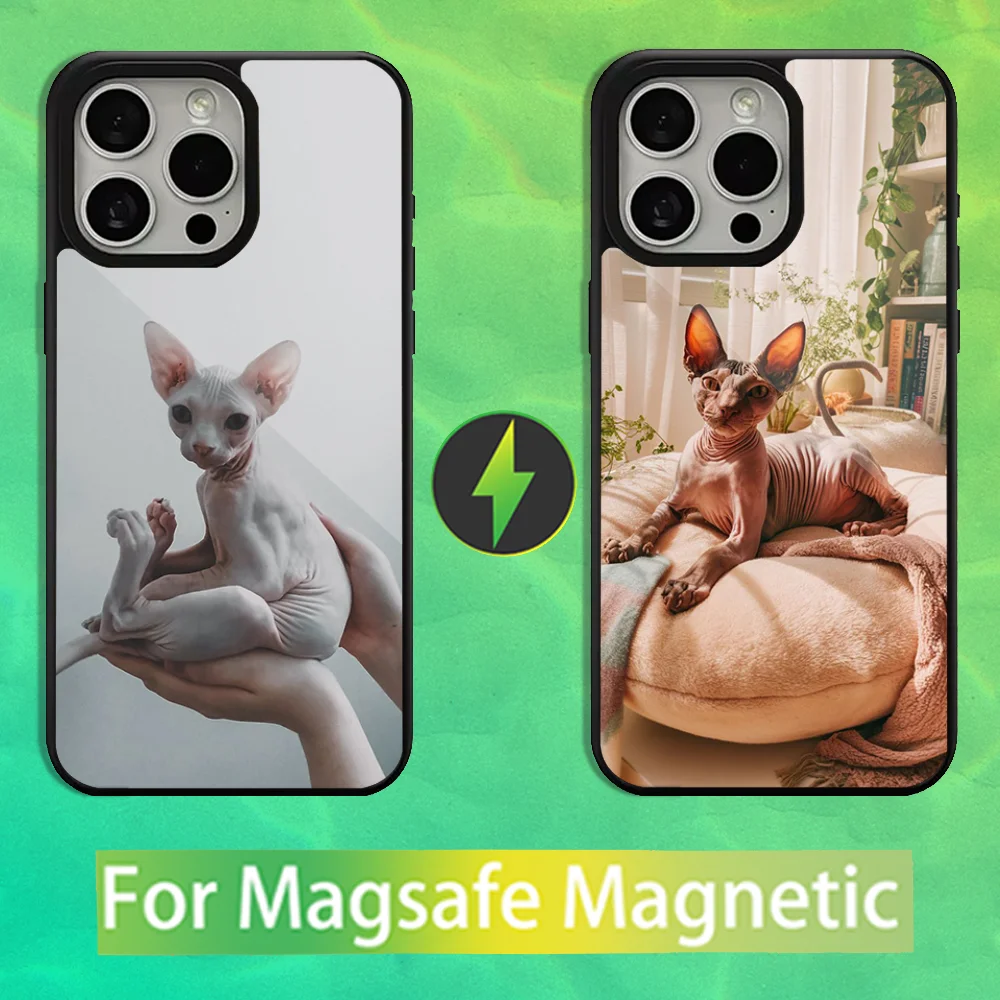 

Animal Sphynx Cat Phone Case For iPhone 16,15,14,13,12,11,Pro,Max,Plus,Mini,Magsafe,Magnetic Wireless Charging Case