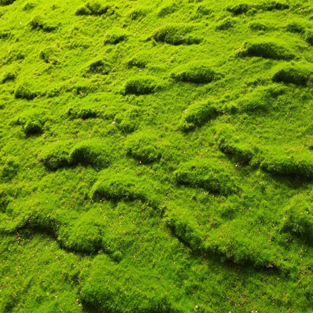 

Artificial Eternal Life Fake Grass Moss Green Plants Grass Mini Landscape Crafts for Garden Hotel Home Decoration Straw Mattress