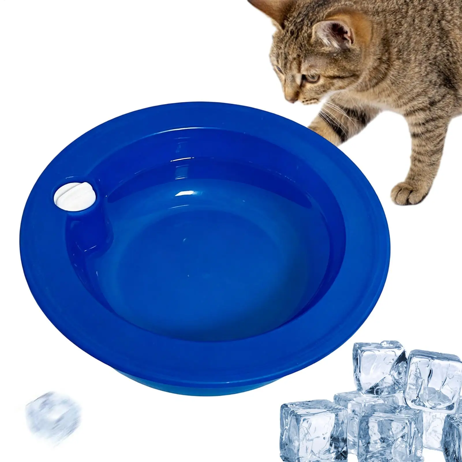 Gamelle d'eau portable isotherme pour animaux de compagnie, anti-fuite, pour chats, idéale pour l'été, le camping, les VR et l'hydratation intérieure