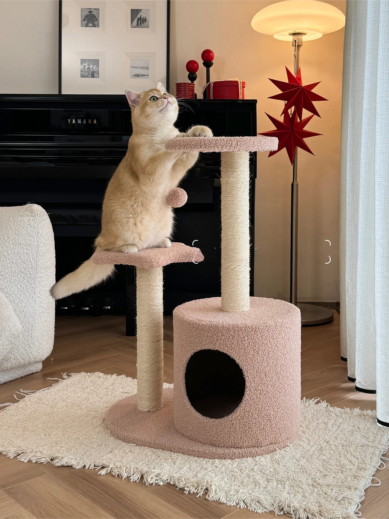 Marco de escalada con forma de luna y estrella para gato, nido bonito para gato, tamaño pequeño, sin ocupación de tierra