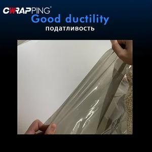 CAR TRANSPARENTE LIGHT Protector Película Campana para el parachoques Pintor de pintura Auto Cabotillas Fog lámpara de humo de vinilo Pegatinas de aluminio 6 Vinilo de gelatina de las mejores ventas - №2