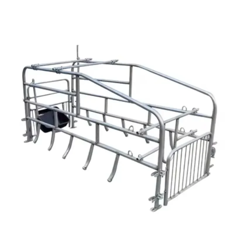 Animal Husbandry Equipment Single Sow Farrowing Crates 2.5mm Hot Dipped Galvanized Pig Cage Fence Fattening Pens for Pig Farm