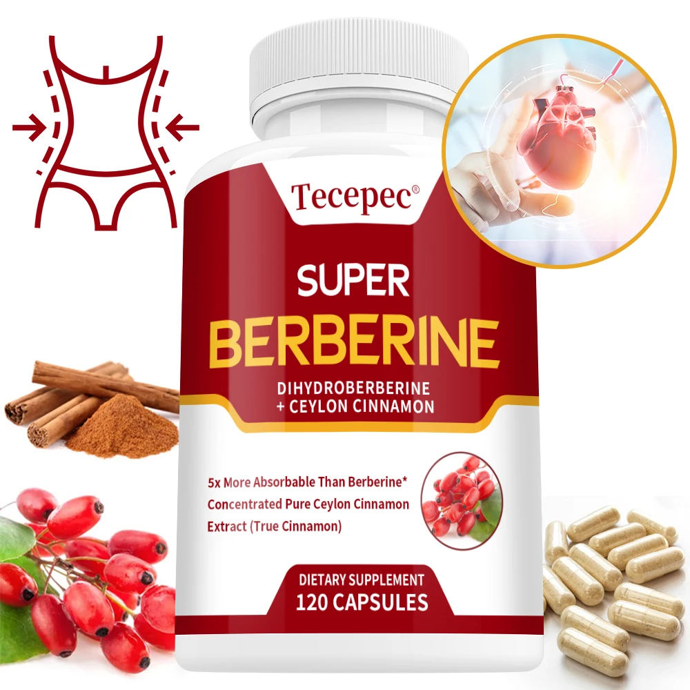 Super Berberine Supplement - Dihydroberberine with Ceylon Cinnamon - 5X More Absorbed - For Digestion, Heart, Adult Men & Women