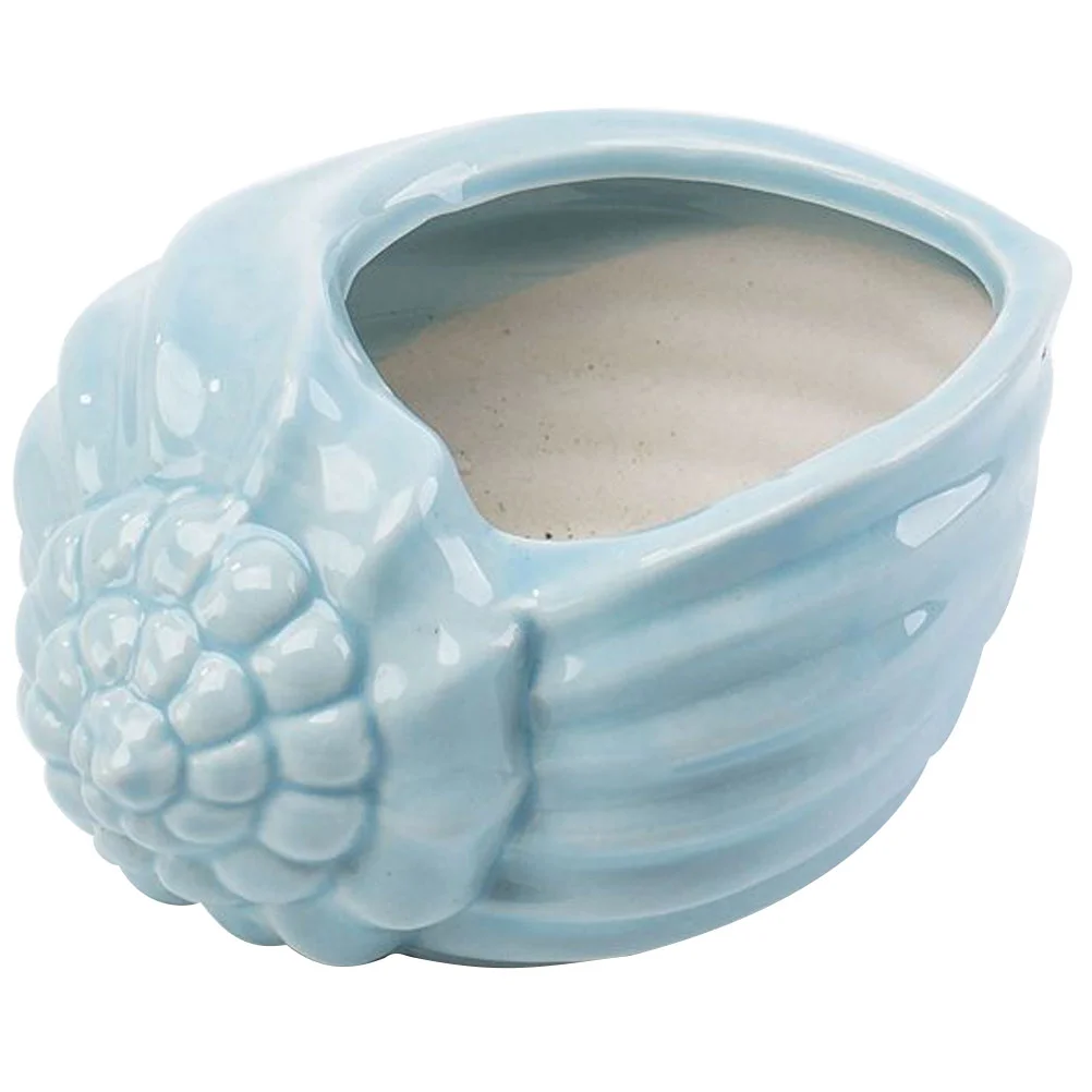 

Flower Pots Conch Shaped Flowerpot Home Small Fresh Ceramic Blue Creative Gardening Plant