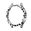 White leopard