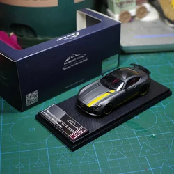 Ornamenti per modelli di auto in lega AMG GT-R 2017 in scala 1/43