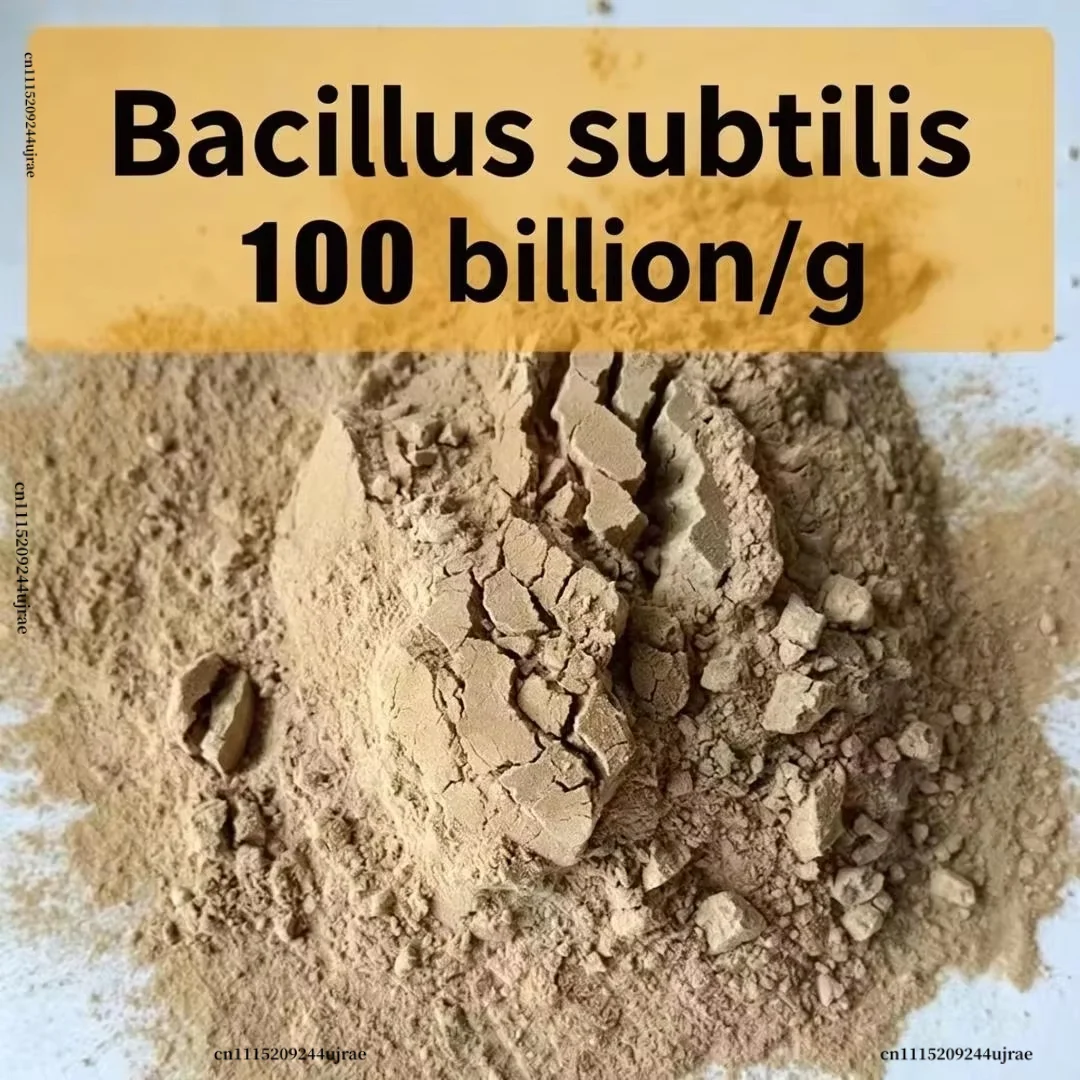 High Purity Bacillus Subtilis For Plant Growth, Water Purification & Livestock Feed Supplement Organic Fertilizer