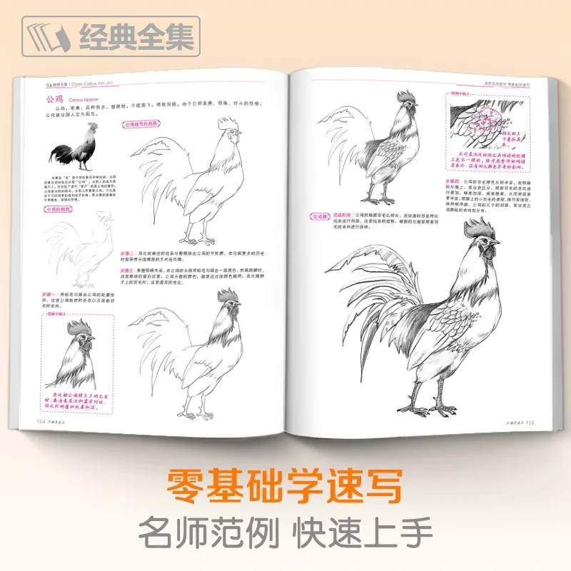 Sketching Nature for Beginners: Learn to Draw Plants, Flowers, Landscapes & Trees with Easy Step-by-Step Tutorials