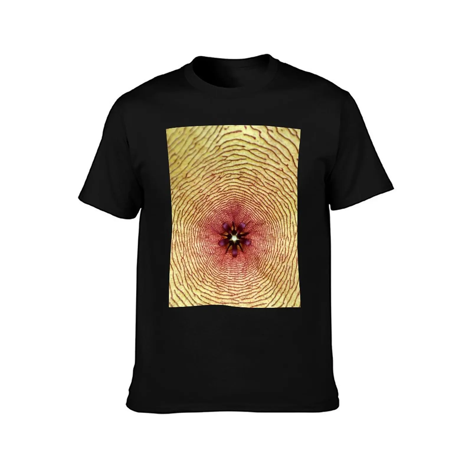 Star fish, Stapelia gigantea, South Africa T-Shirt blanks summer clothes plus size tops t shirt for men