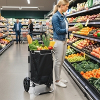 3-in-1 foldable shopping trolley with 40L capacity, load capacity up to 25kg, with cooler compartment, black