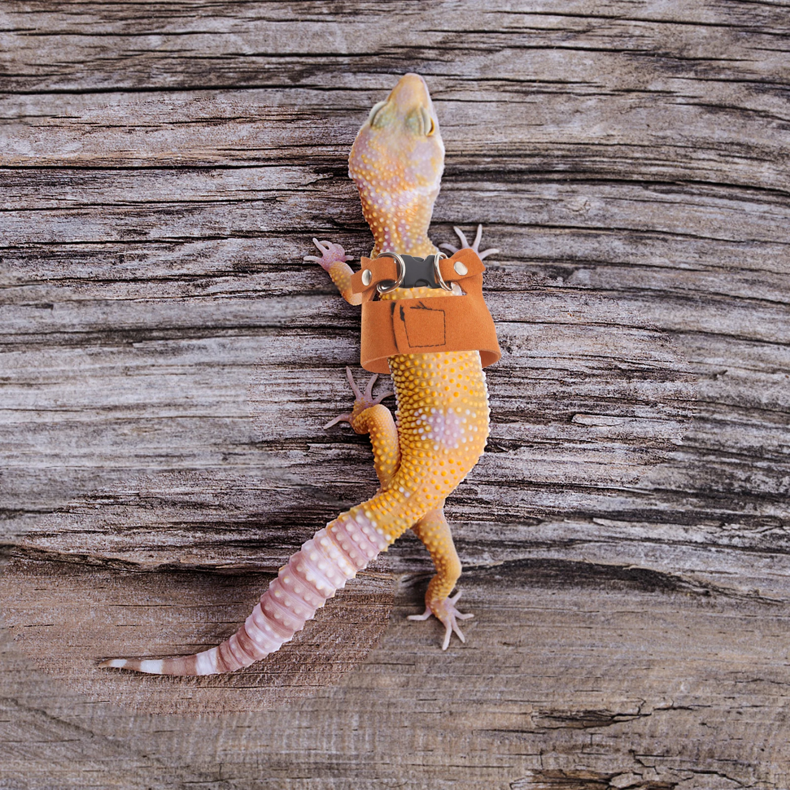 

1 Set Adjustable Reptile Harness Leash Vest Lightweight Lizard Walking Traction Rope Comfortable Secure Outdoor Dual Fixed Snap