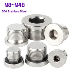 M8~M48 Flange Inner Hexagon Bolt Oil Water Pipe Fitting Metric Male Thread 304 Stainless Steel Hex Socket Plug ED Sealing Ring
