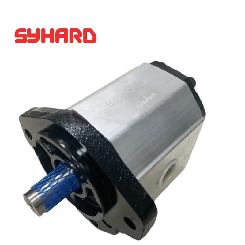 Gear Pump BHP3A0D55C0R2 BHP3A0D20C0R2 BHP3A0D22C0R2 BHP3A0D26C0R2 BHP3A0D33C0R2 BHP3A0D39C0R2 BHP3A0D46C0R2