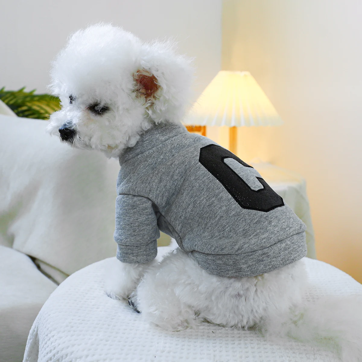 1PC Pet Clothing Cat Spring and Autumn Plush Thickened Warm Letter Solid Gray Coat Suitable for Small and Medium Dogs