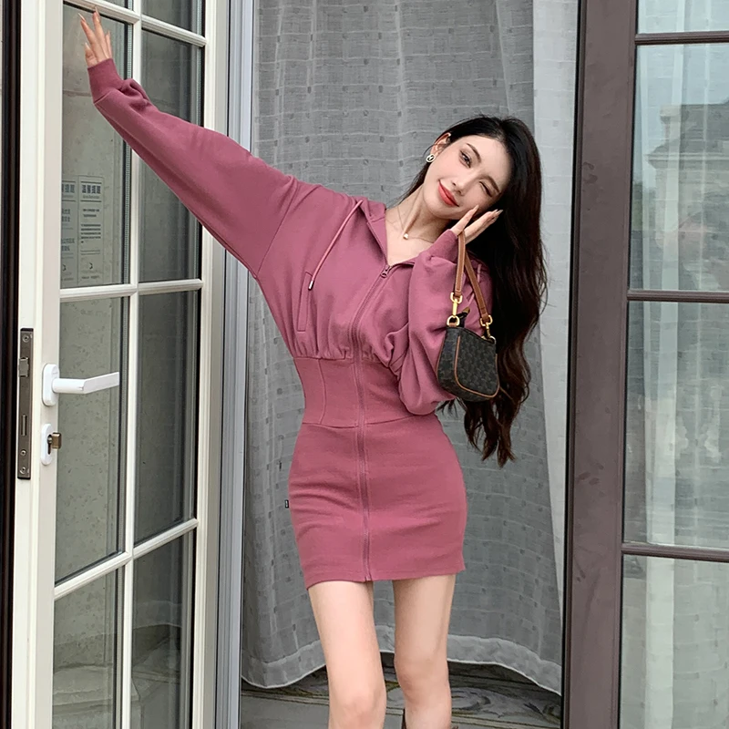 Korean Fashion Cat Ear Hooded Hoodie Dress Women Autumn Winter Long Sleeve Mini Dress Kawaii Bodycon Party Dress Vestidos