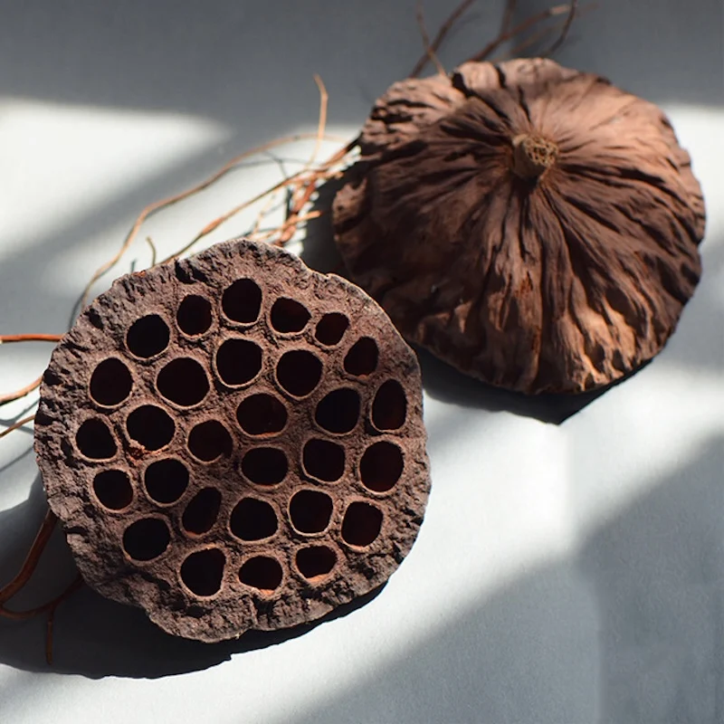 10/12/24pcs Real Lotus Pods Rustic Country Mori Style Christmas Wreaths Dried Flower Arrangement Decorations Home Decoration