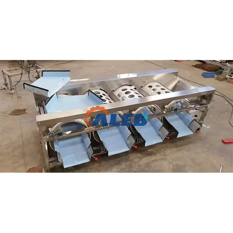 YWM Certificate Automatic Berry Sorter for Blueberry Cherry Olive - Gentle Size and Color Grading Machine for Delicate Fruits