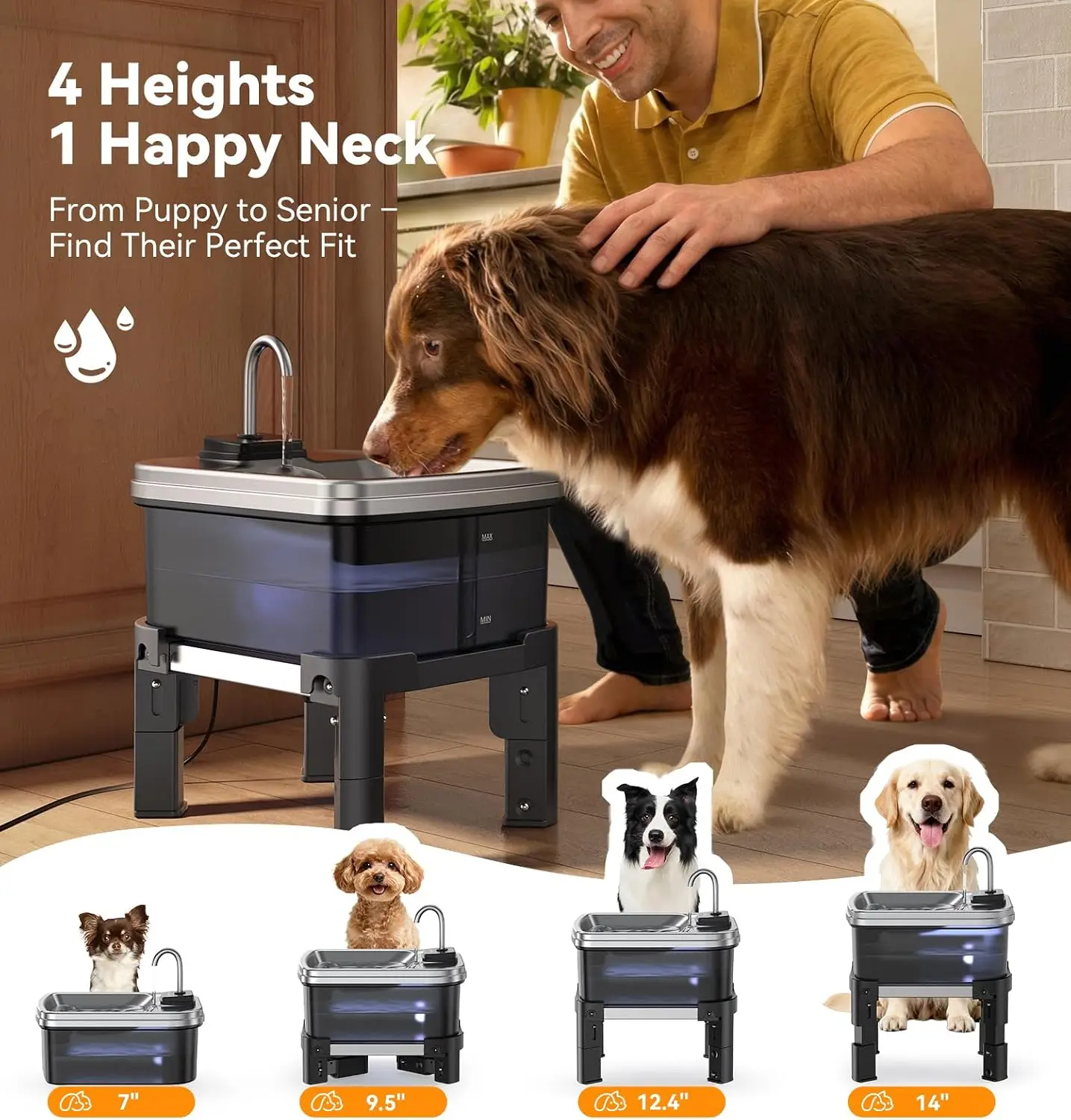 9L/2.38Gal Dog Water Fountain Elevated with 4-Height Adjustable Stand, Large Pet Water Dispenser with Durable Ultra-Quiet Pump &