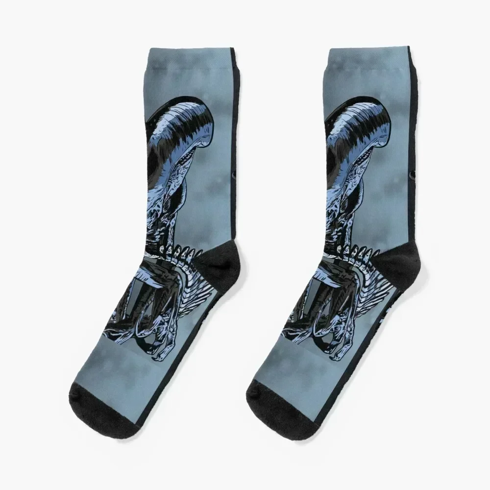 

Xenomorph Socks summer hiking with print snow Designer Man Socks Women's