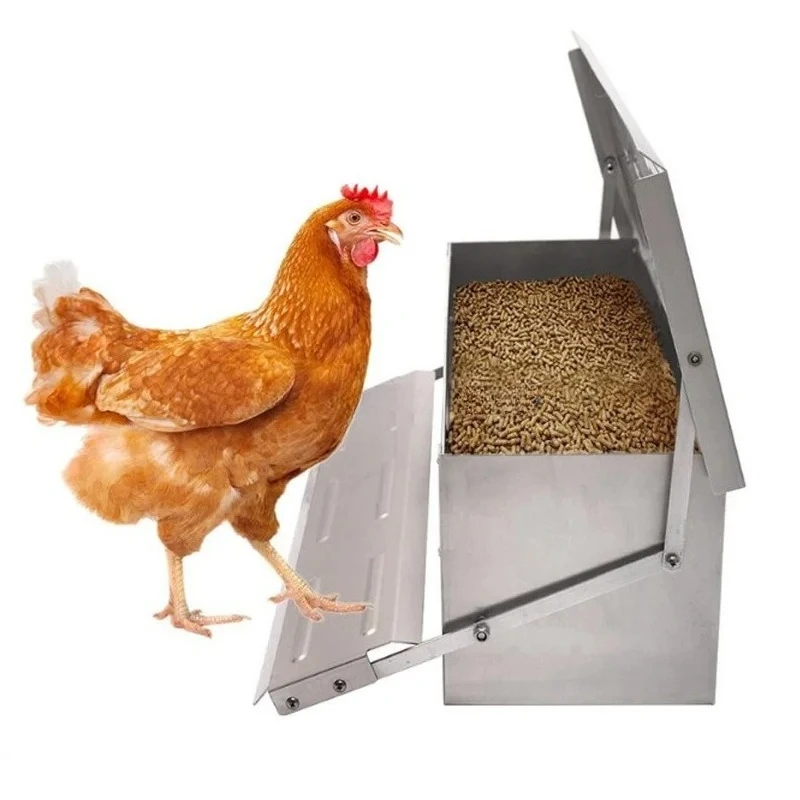 

High quality automatic poultry chicken feeder chicken feeding system for poultry equipment