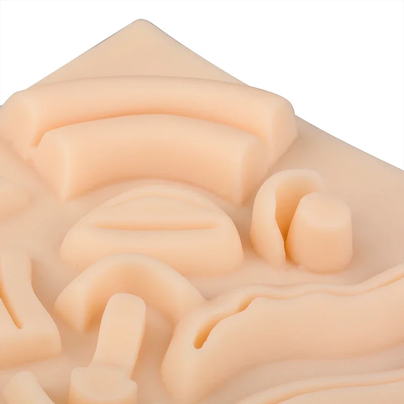 Abdominal Suture Practice Model – Large Simulated Cavity & Wound