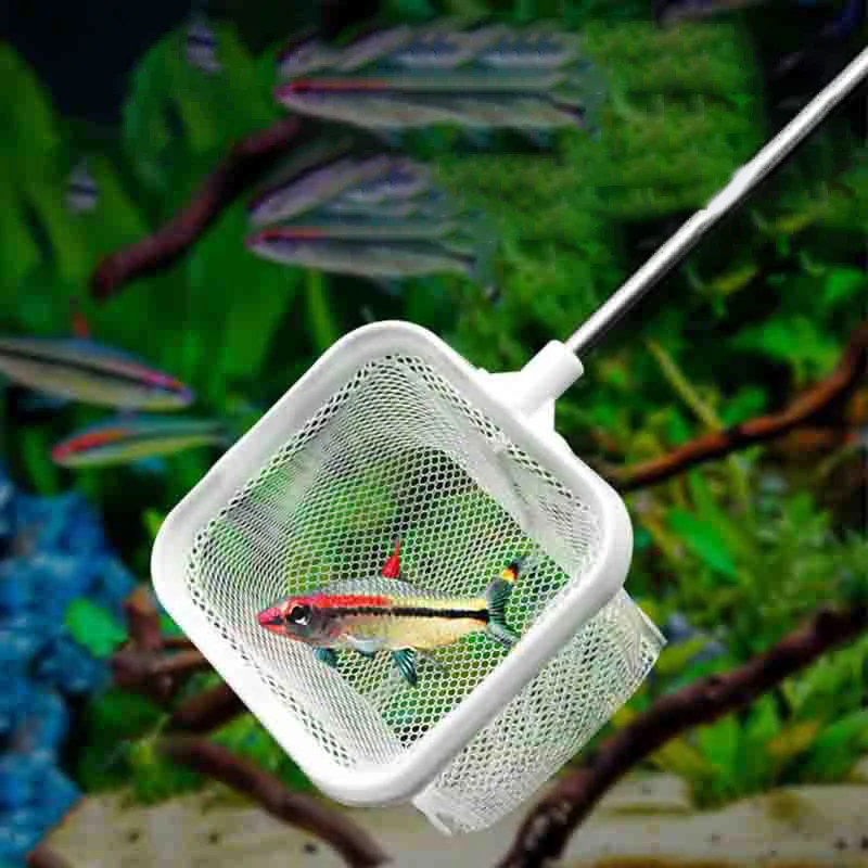 Aquarium Square Fishing Net With Suction Cup Extendable Long Handle Fishing Gear For Catching Fish Shrimp Tank Clean Supplies - AliExpress 15 Aquarium Square Fishing Net With Suction Cup Extendable Long Handle Fishing Gear For Catching Fish Shrimp Tank Clean Supplies - AliExpress 15