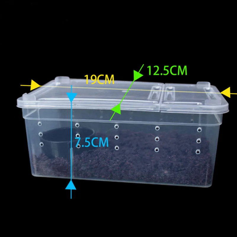 Portable Insect Reptile Terrarium Habitat Feeding Box with Breathable Holes Mini Pet Houses for Spider Lizard Turtle Crab Snake