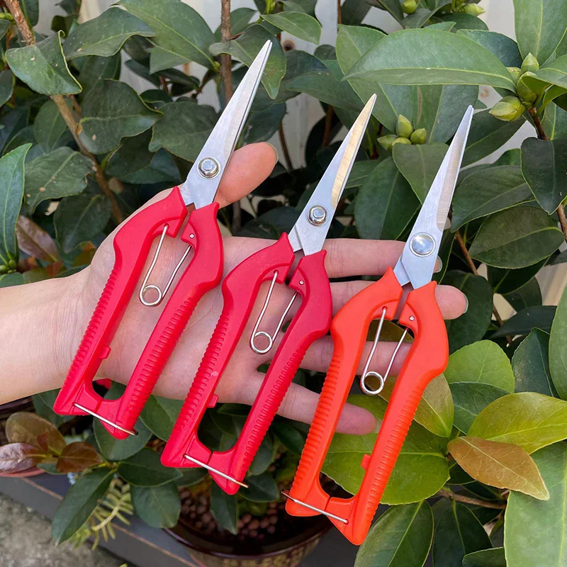 

Pruning Shear Branch Scissors Stainless Steel Non-Slip Handle Sharp Garden Fruit Tree Pruning Very Sharp Garden Tools