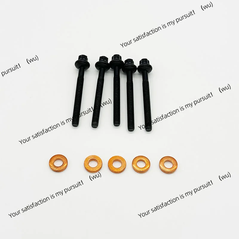Injector Bolt 6659901001 for SsangYong Restion Actyon Caizun Korando C 6650170060 66599 01001 66501-70060