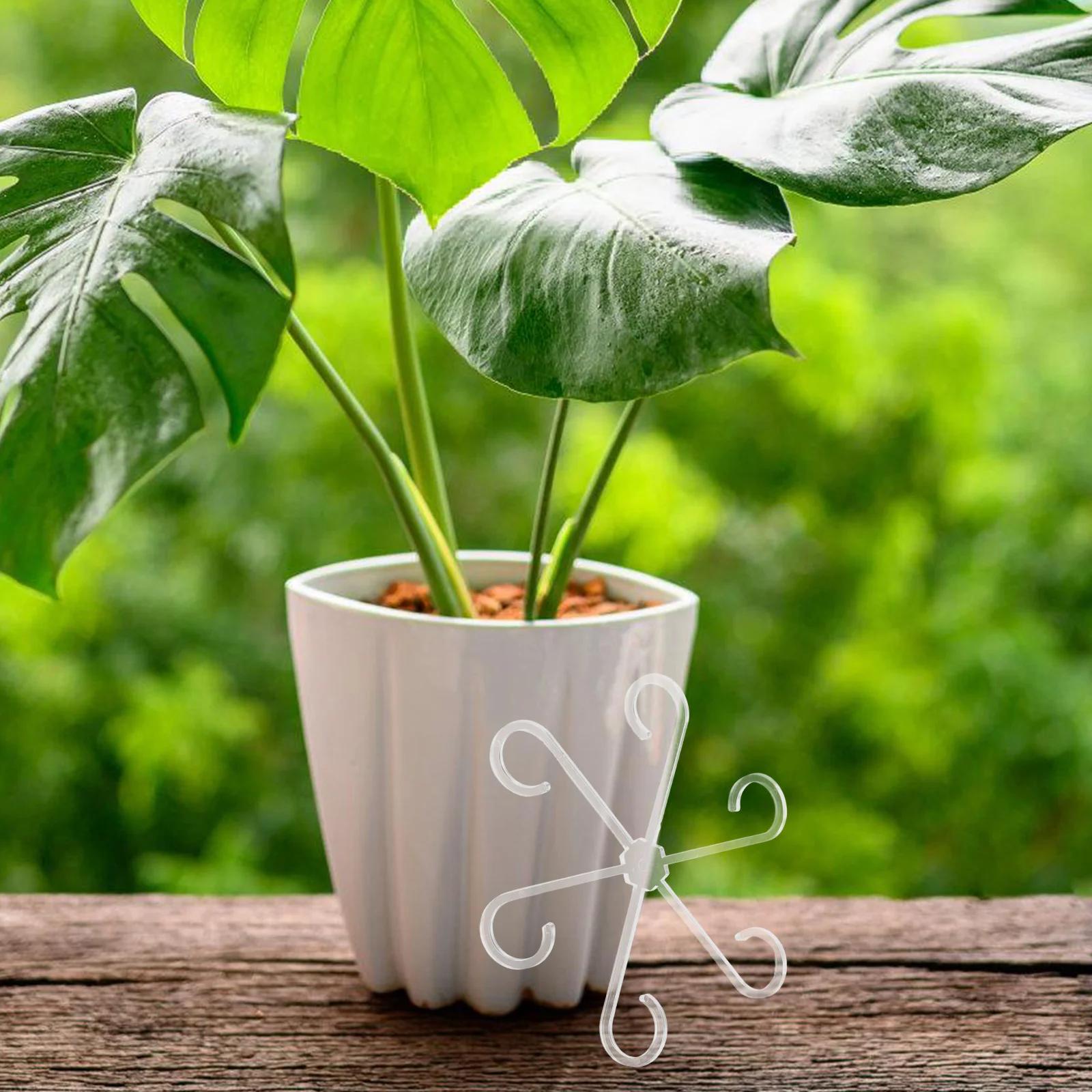 

4pcs Reusable Plastic Stem Support Hooks For Indoor Outdoor Climbing Plants Transparent Adjustable Lightweight Flower Plant