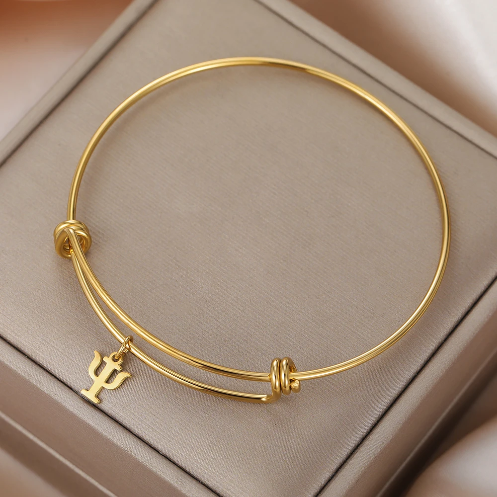 Dawapara lettre grecque Psi symbole charme Bracelet réglable cadeau de psychologue cadeau de remise des diplômes Bracelet en acier inoxydable