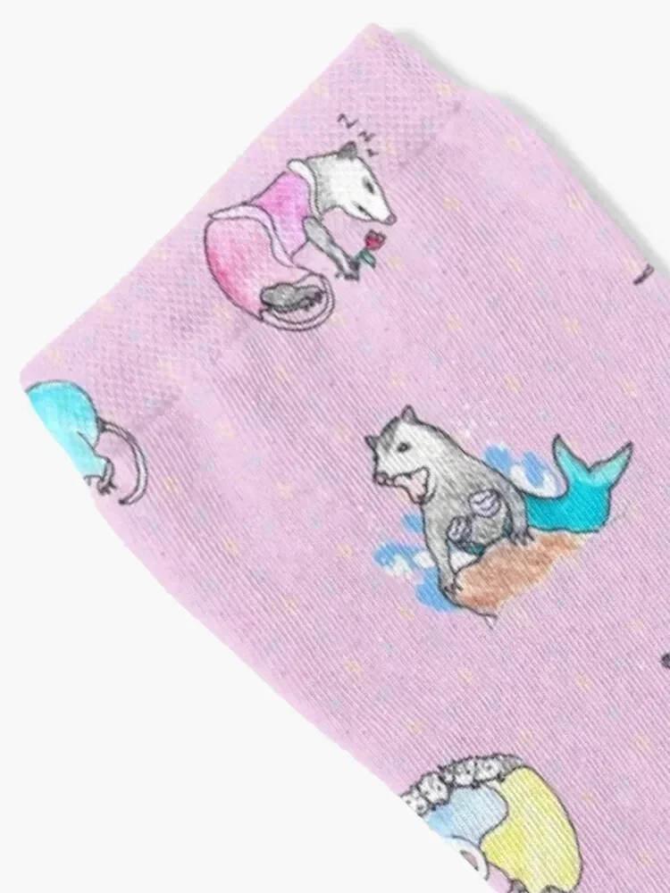 Possum Princess Pattern Socks cool ankle retro Socks For Girls Men's