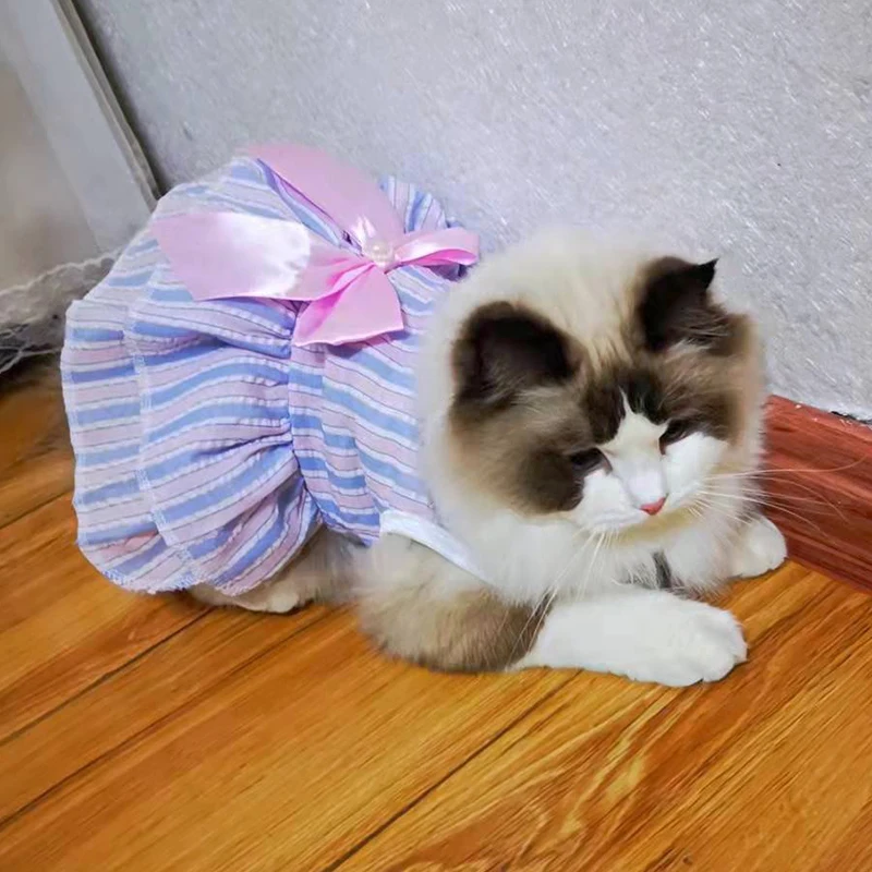 Spring Summer Stripe Sphynx Cat Bow Skirt Cute Pet Dress for Cats Gotas Katten Kedi Dresses mascotas Clothes Clothing vestido