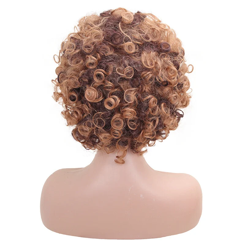 여성 짧은 곱슬 갈색 황금 전체 가발 물결 모양의 머리 자연 파티 가발