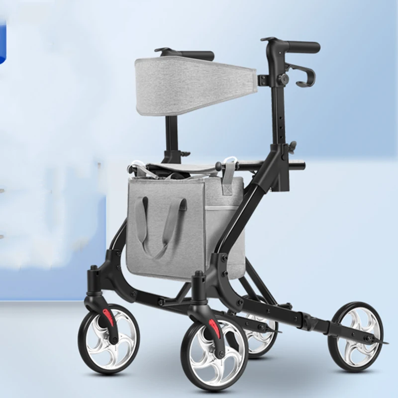 Elderly Chair Senior Chairs Trolleys Portable Device Senior Chairs Luggage Trolley Krzesło Prysznicowe Senior Furniture