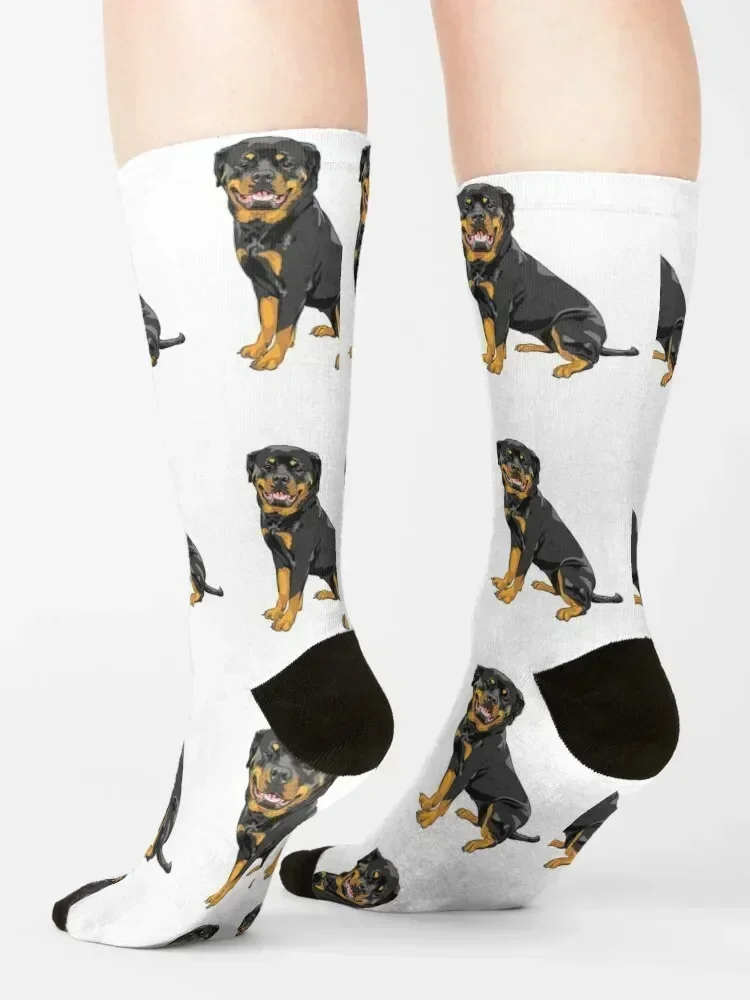 로트와일러 개 품종 패턴 양말 디자이너 남자 재미있는 선물 양말 남성용 여성용
