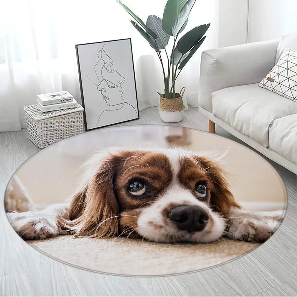 Funny Cats and Dogs Round Carpet Cute Animals Pet Modern Home Living Room Entrance Decoration Bedroom Mats Flannel Floor Rugs