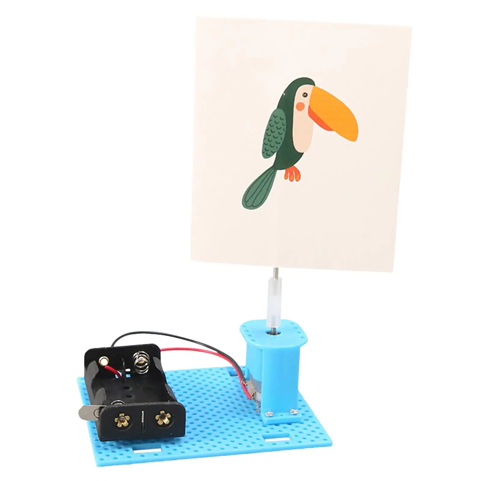 DIY Science Experiments School Projects Develop Intelligence Electric Cage Bird for Club Birthday Physics Household Living Room