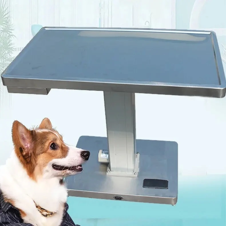 

Veterinary Equipment Veterinary Examination Vet Multi-functions Electric Lifting Treatment with Scale