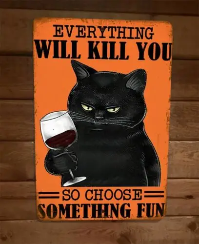 Everything Will Kill You So Chose Something Fun Black Cat 8x12 Metal Wall Sign