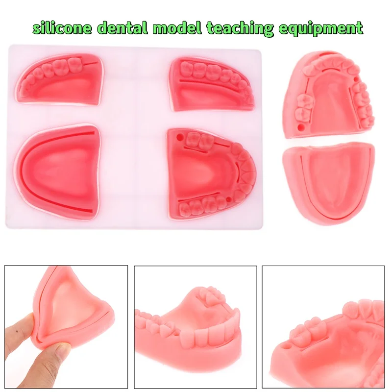 

2/4Pcs/Set Medical Suture Training Module Soft Gum Model Food-Grade Silicone Dental Teaching Model