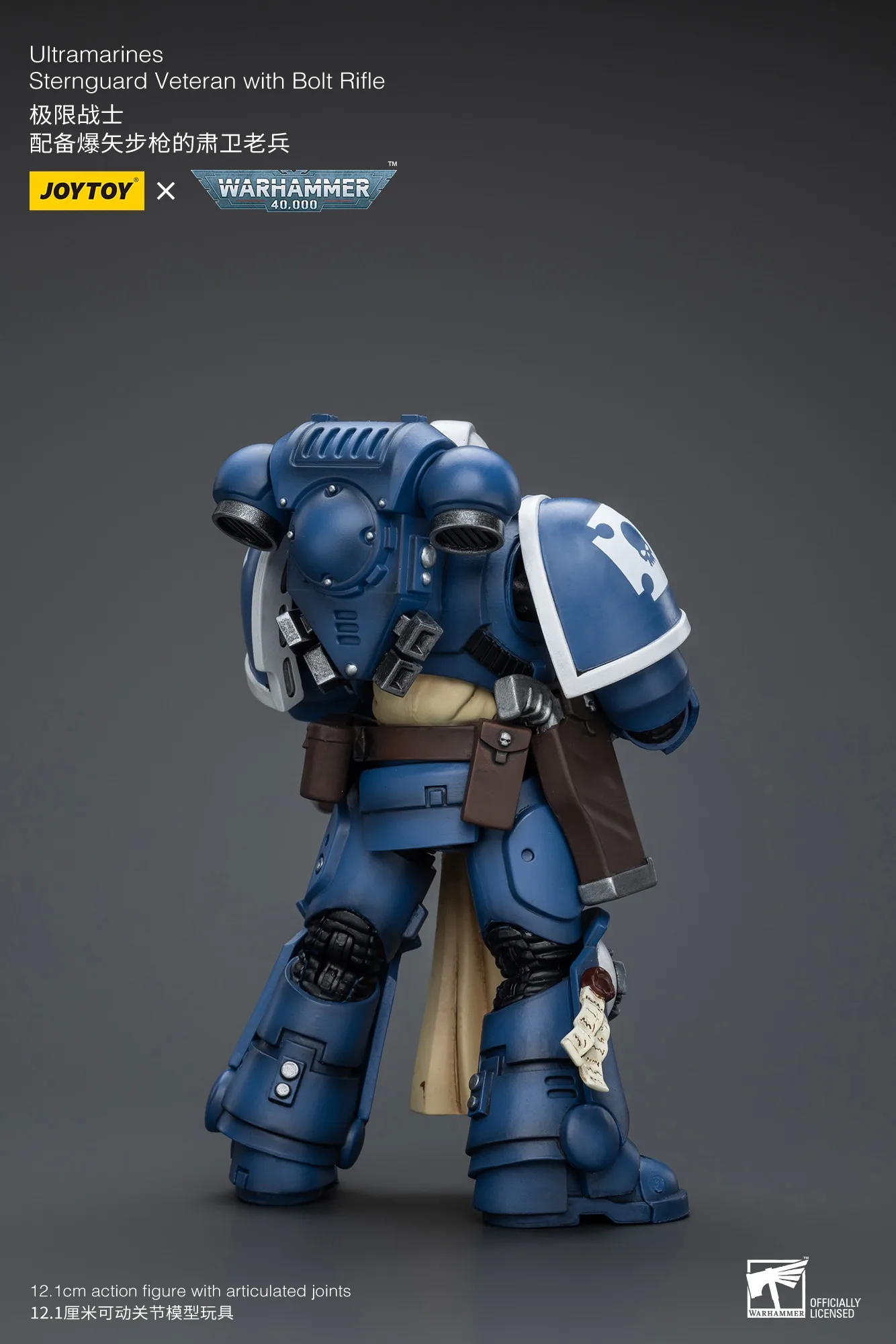 【Accessories】JOYTOY Warhammer 1/18 Action Figures Ultramarines Sternguard Veteran with Bolt Rifle Model Toy  3.75inch