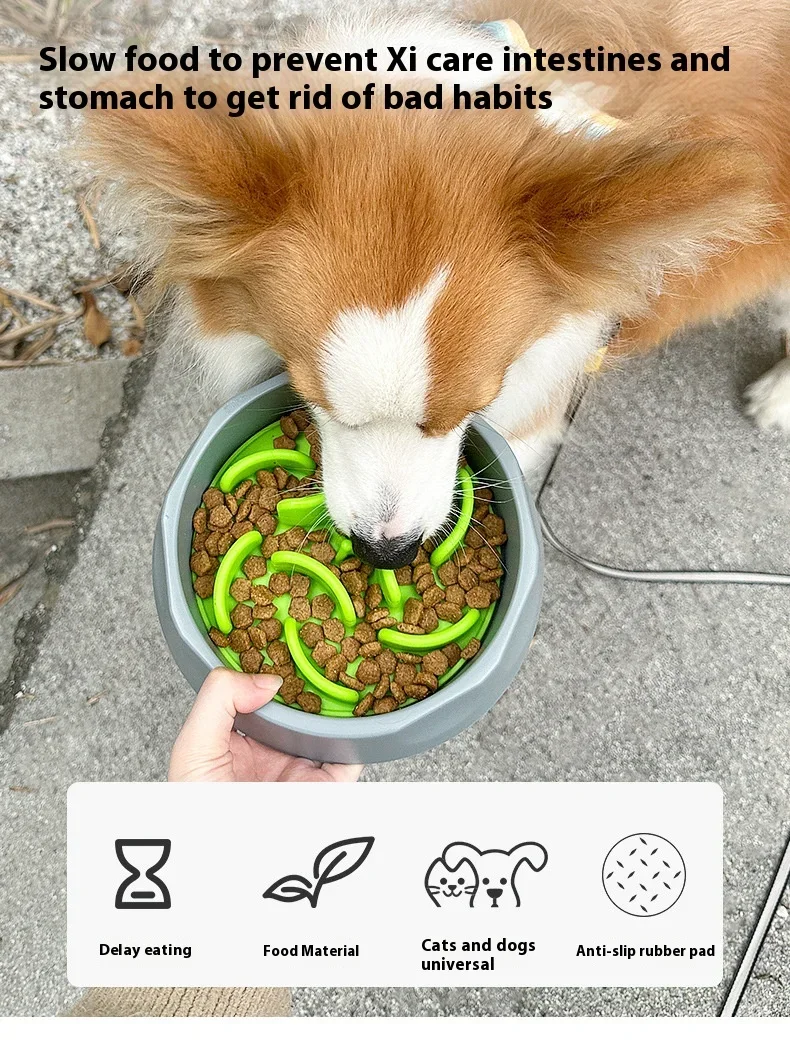 Multifunctional Easy To Clean Pet Slow Food Bowl Non-slip Pet Licking Mat Pet Cat Dog Feeding Anti-choking Plate Mat