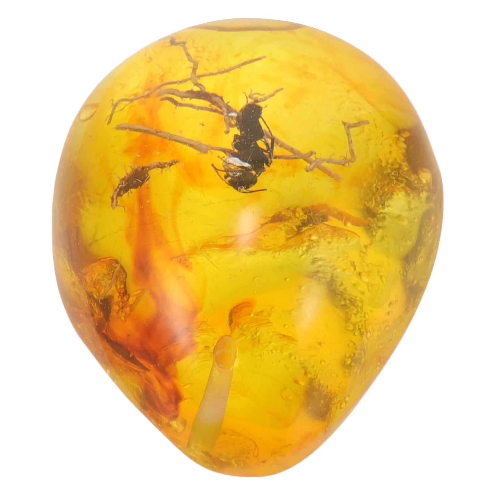 

Artificial Amber Insect Specimen Ornament Amber Stone Ornament for Collection insects crafts insect amber