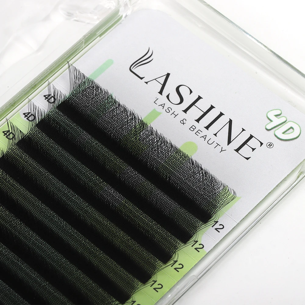 LASHINE 4D Wimpern W-förmige Wimpern Natürliche Vorgefertigte Volumen-Wimpern 0,07mm C/D-Curl W-förmige Wimpernverlängerungen – Detail 3
