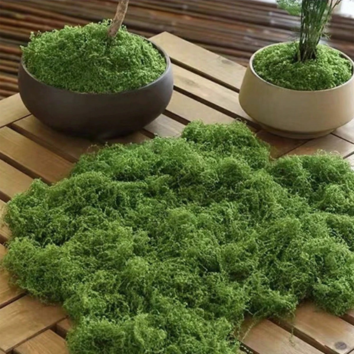 250 g de decoraciones de musgo - Bonsai Garden Layout reseña y precio